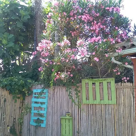 Armonia Agios Georgios (Corfu)