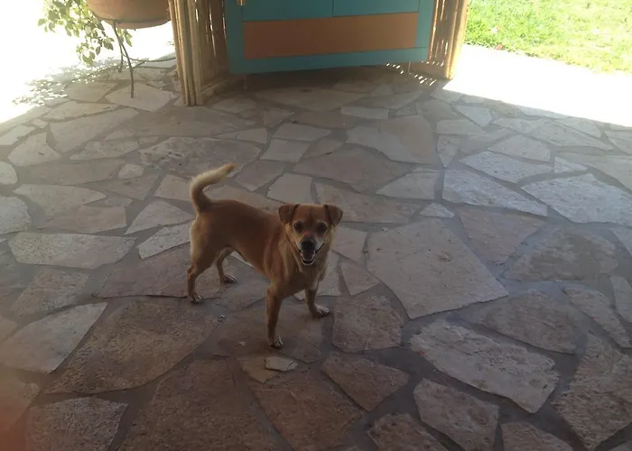 Armonia Apartamento *