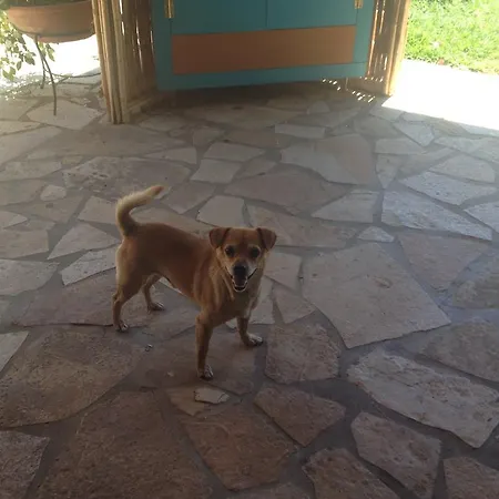 Armonia Appartement *